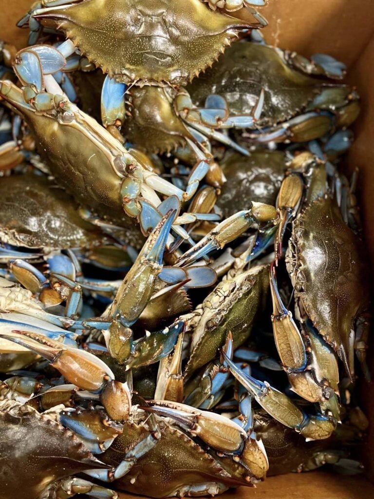 20% off entire bill!